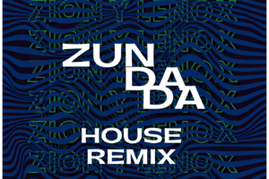 ZUN DA DA HOUSE REMIX DJ DANT